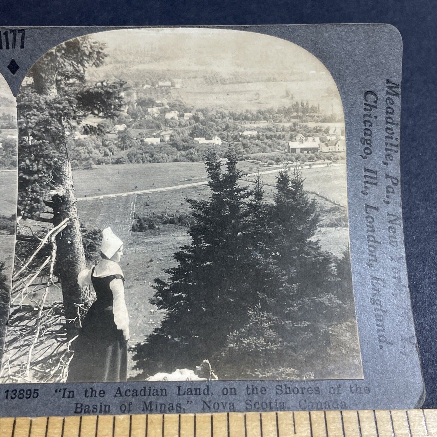 Antique 1910s Acadian Acadia Girl Nova Scotia Canada Stereoview Photo Card P4928