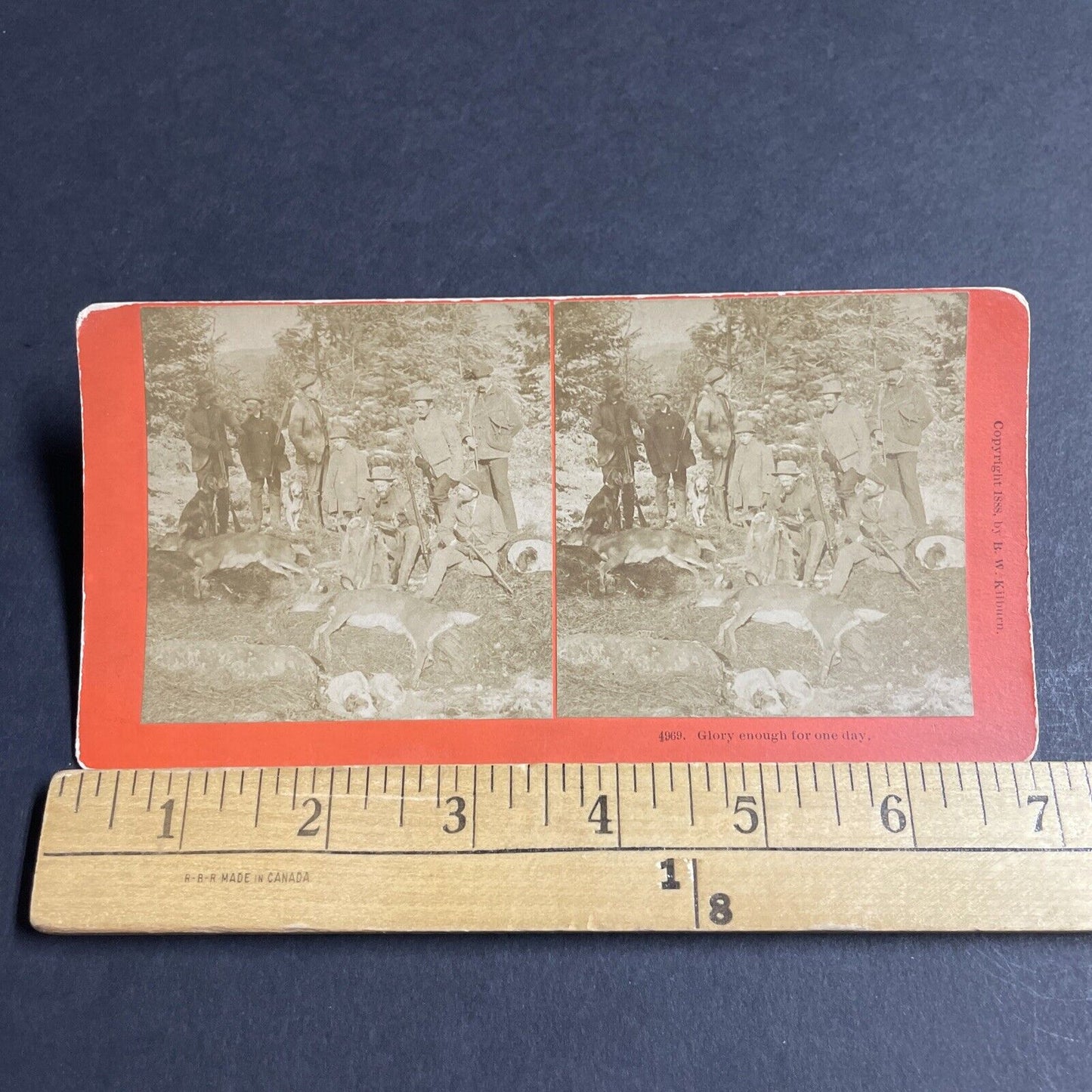 Antique 1888 Hunters Show Off Dead Deer Kills Stereoview Photo Card P4622