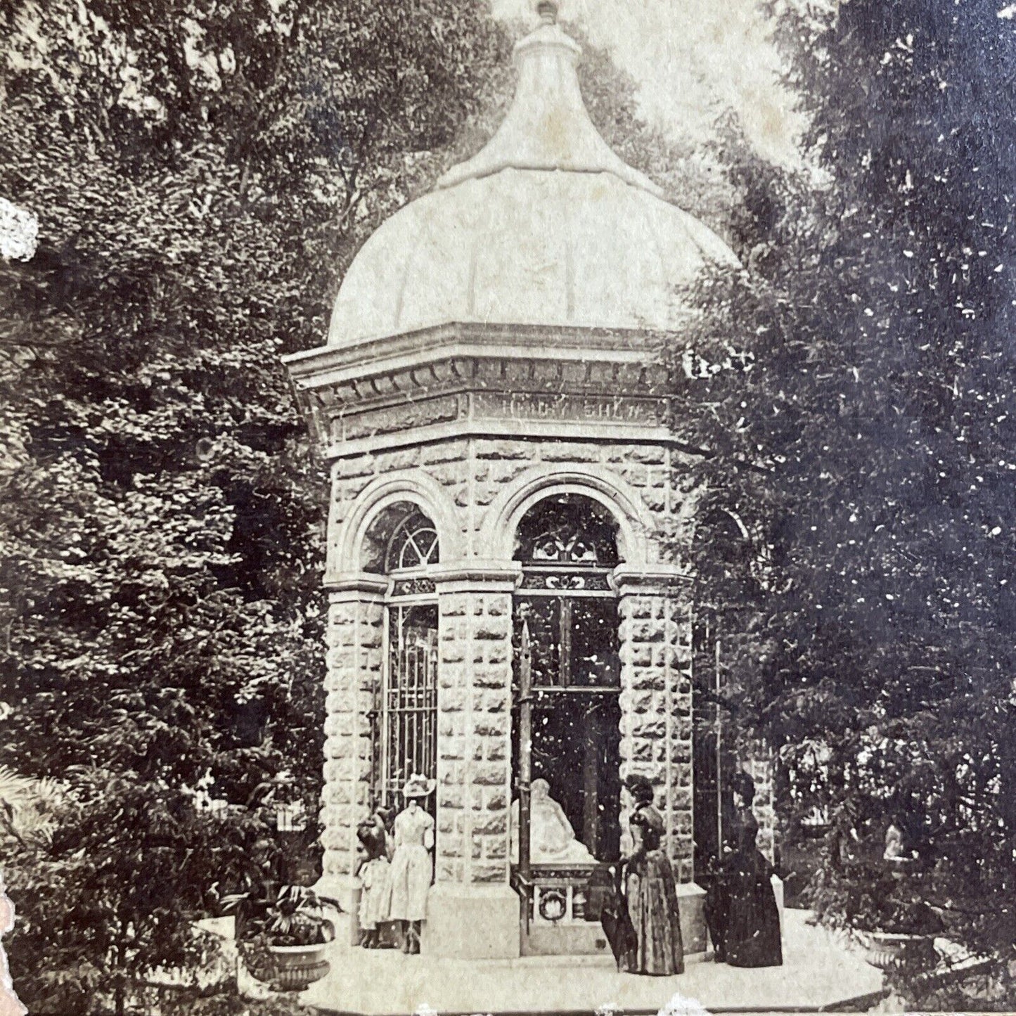 Antique 1870s Shaw's Missouri Botanical Garden Stereoview Photo Card P4873