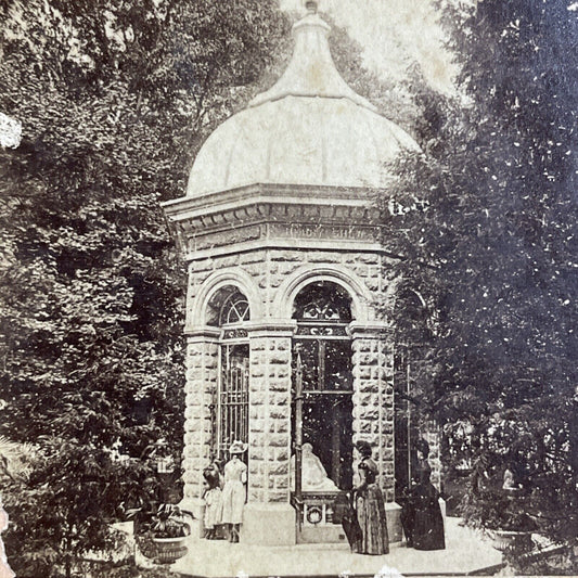 Antique 1870s Shaw's Missouri Botanical Garden Stereoview Photo Card P4873