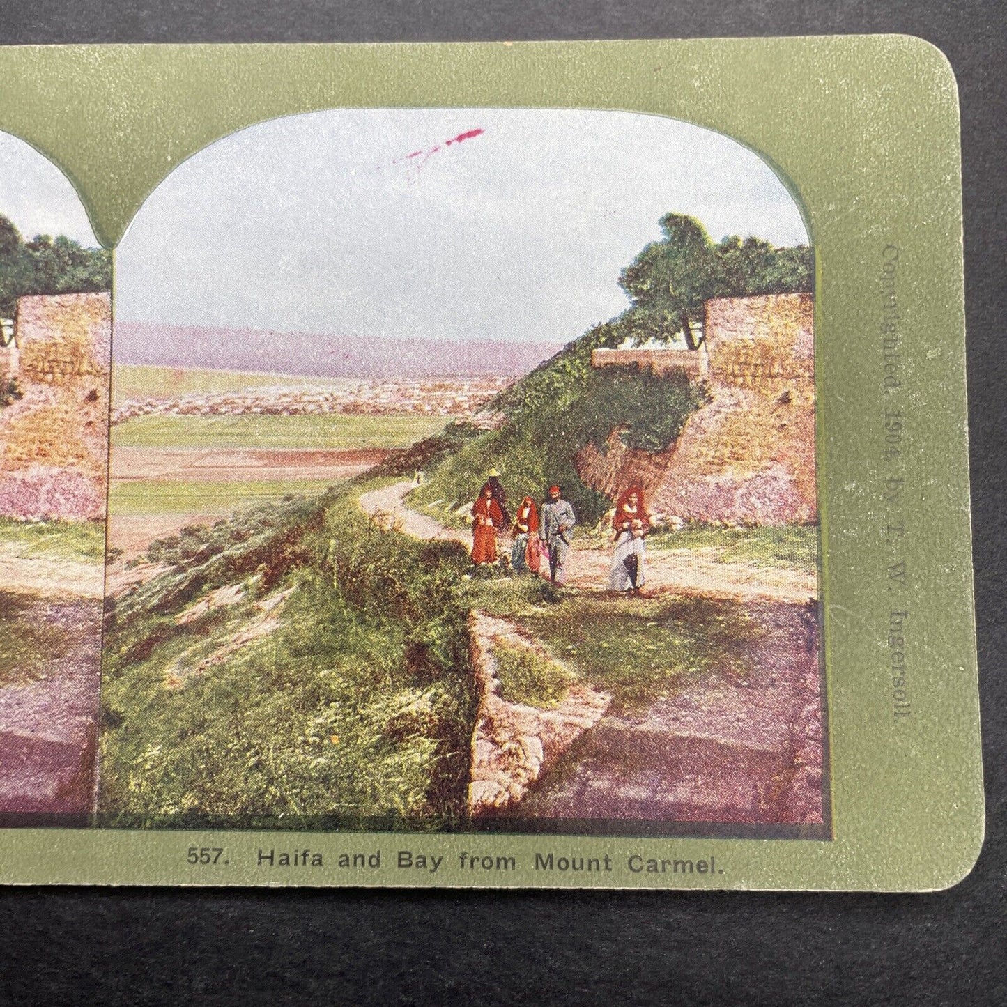 Antique 1904 Haifa Palestine Israel & Mt Carmel Stereoview Photo Card P580-098