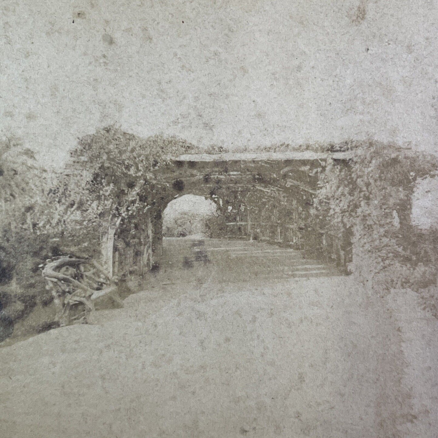 Prospect Park Brooklyn New York Stereoview Antique c1867 X3718