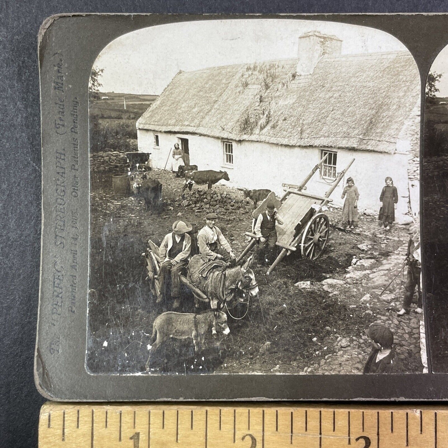 County Kerry Farm House Ireland Stereoview H.C. White Antique c1902 Y408