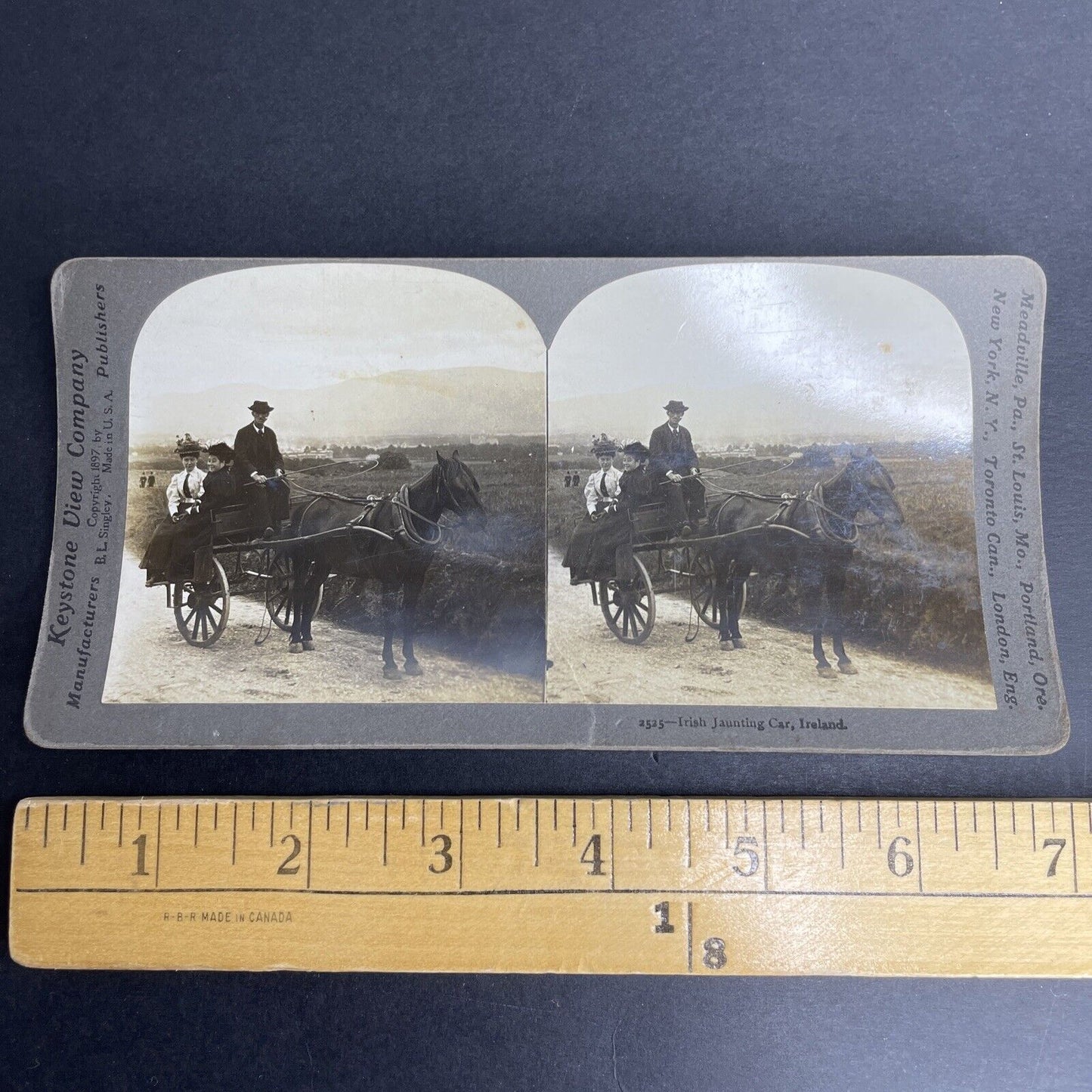 Antique 1897 Wealthy Irish Women & Chauffeur Ireland Stereoview Photo Card P1052