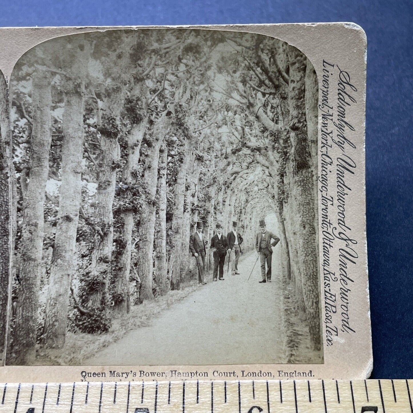 Antique 1890s Wealthy Men In London England Stereoview Photo Card P2391