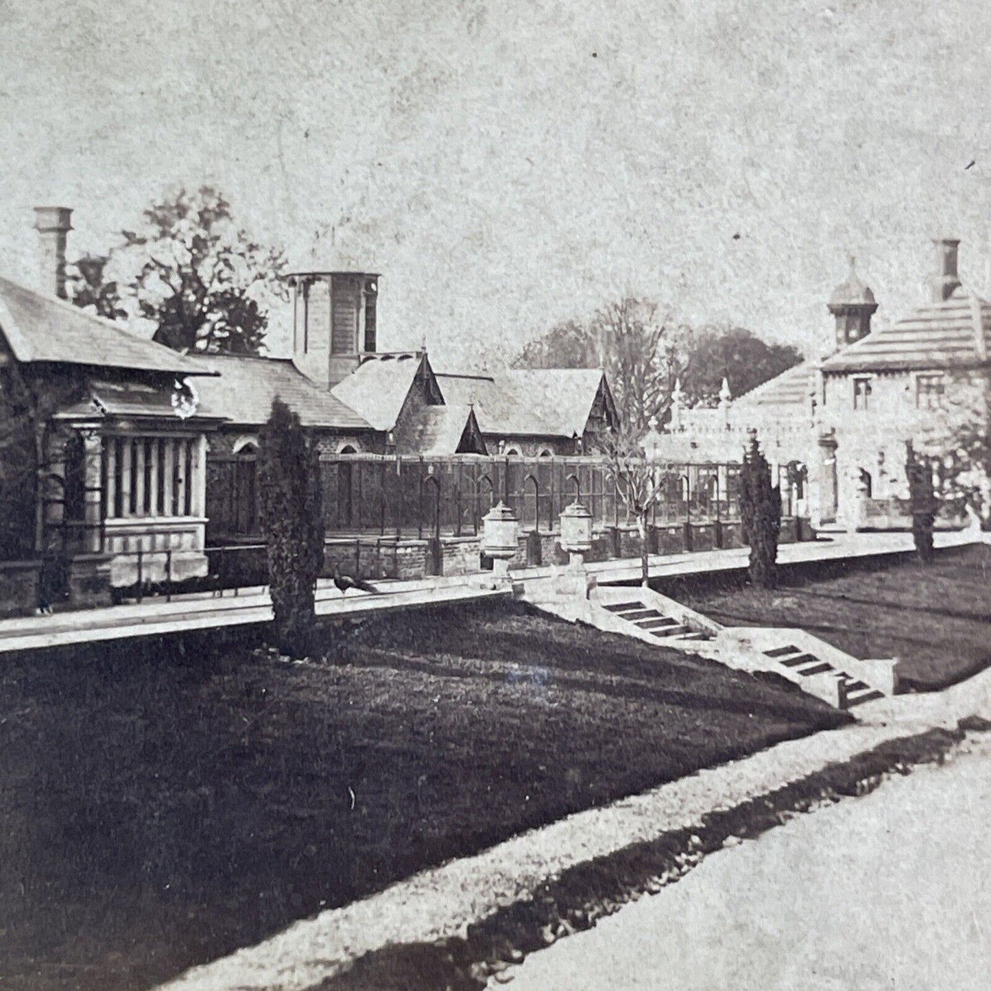 Royal Aviary Near Windsor Castle Stereoview England UK Antique c1875 X1653