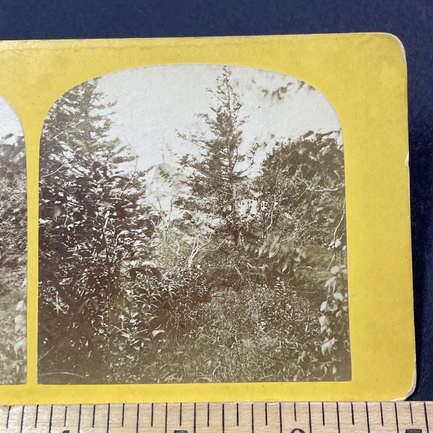 Antique 1870s Mount Monadnock Near Diana's Peak Stereoview Photo Card V2108