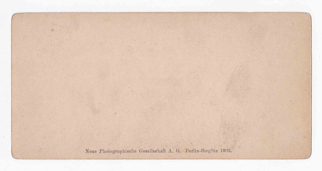 Antique 1903 Das Biebricher Schloss Von Auderen Rheinufer Stereo Card P333