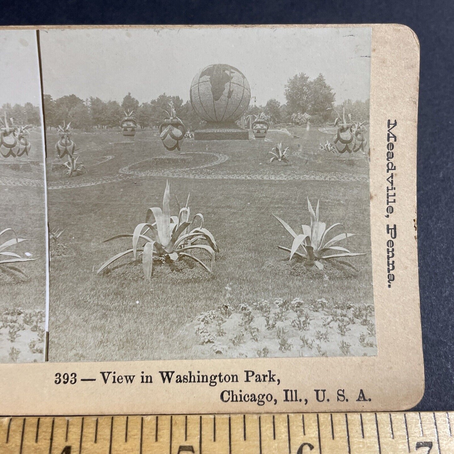 Antique 1890s A Giant Flower Globe In Chicago Stereoview Photo Card P4875