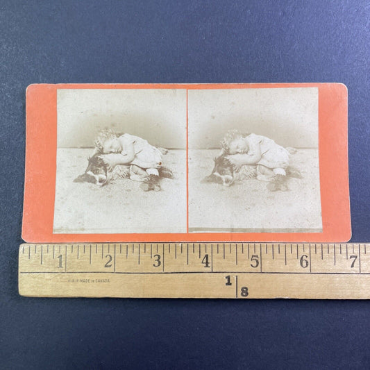 Child Cuddling Her Dog Stereoview Border Collie Antique c1865 X1535