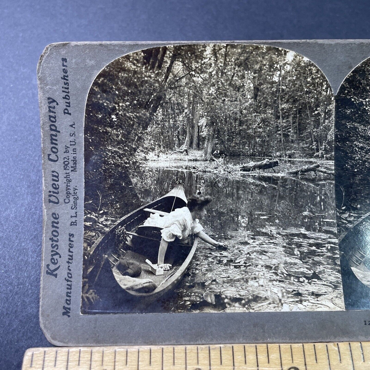 Antique 1902 Woman Catches Frog In Pond From Canoe Stereoview Photo Card P2998