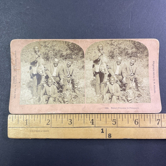 African American Hunters Hunt Possum & Pheasant Stereoview Antique c1892 X2608