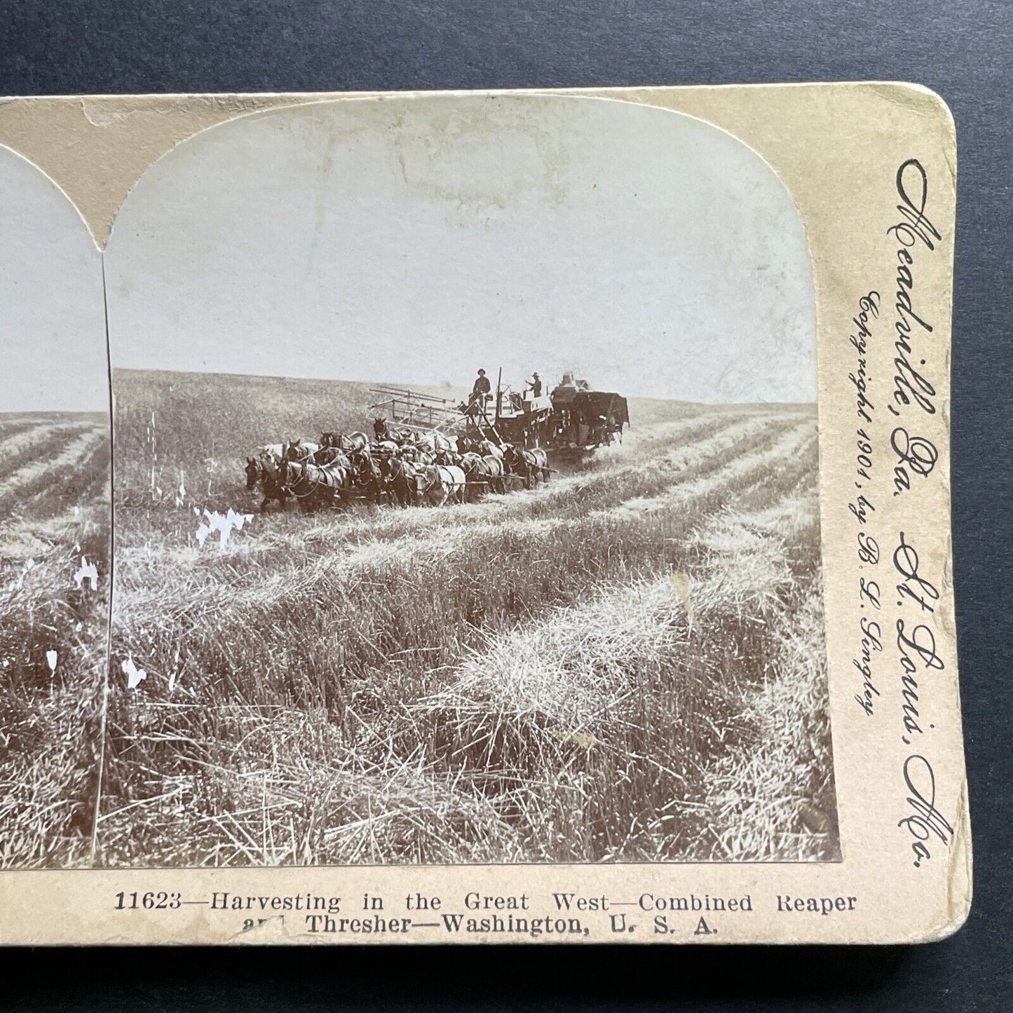 Antique 1901 Horse Drawn Hay Combine In Washington Stereoview Photo Card P1275