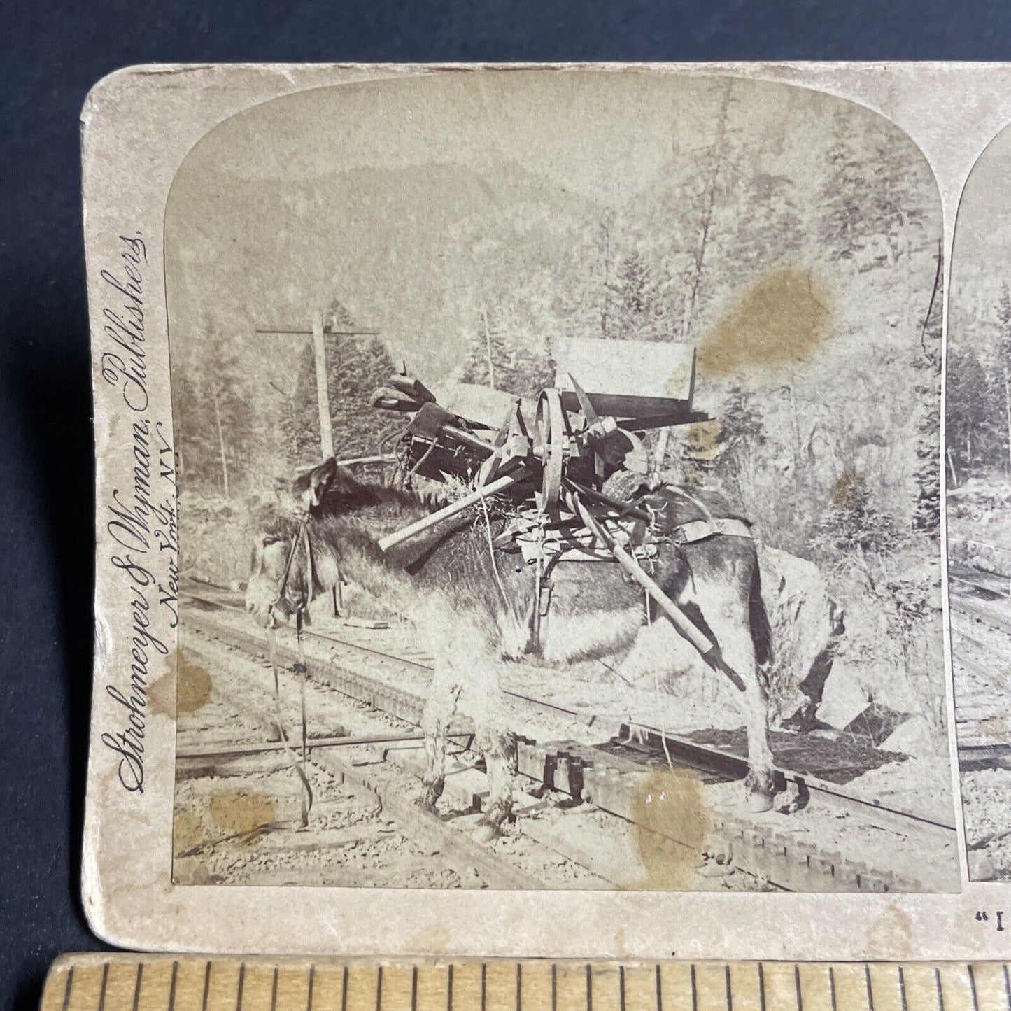 Antique 1894 Donkey Hauls Railroad Construction Tools Stereoview Photo Card 4335