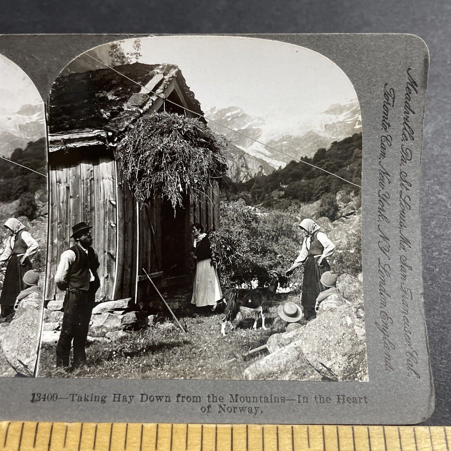 Antique 1903 A Mountain Zip Line Zipline Norway Stereoview Photo Card P5107