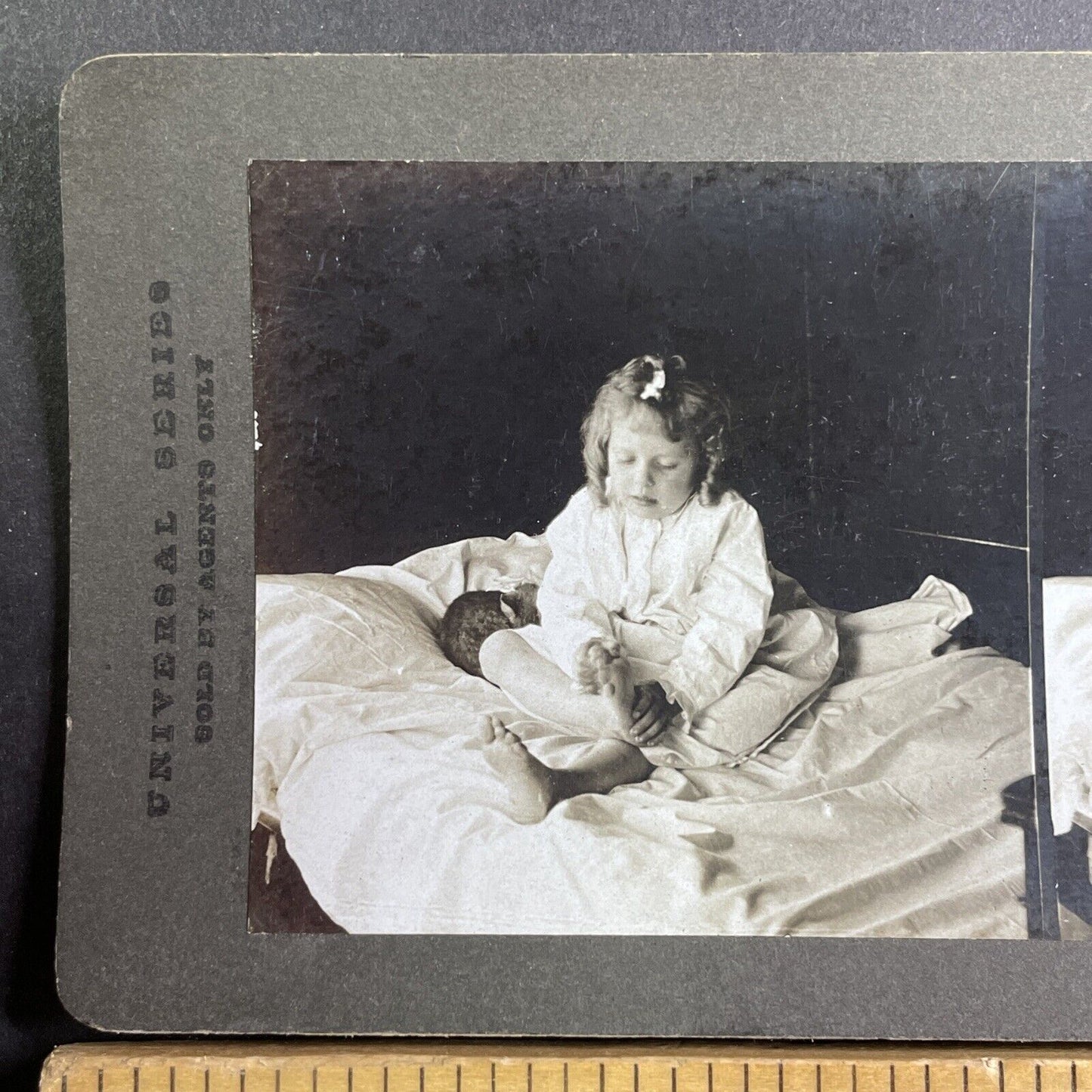 Child Counts Her Toes with Kitten Cat Stereoview Antique c1920s Y1358