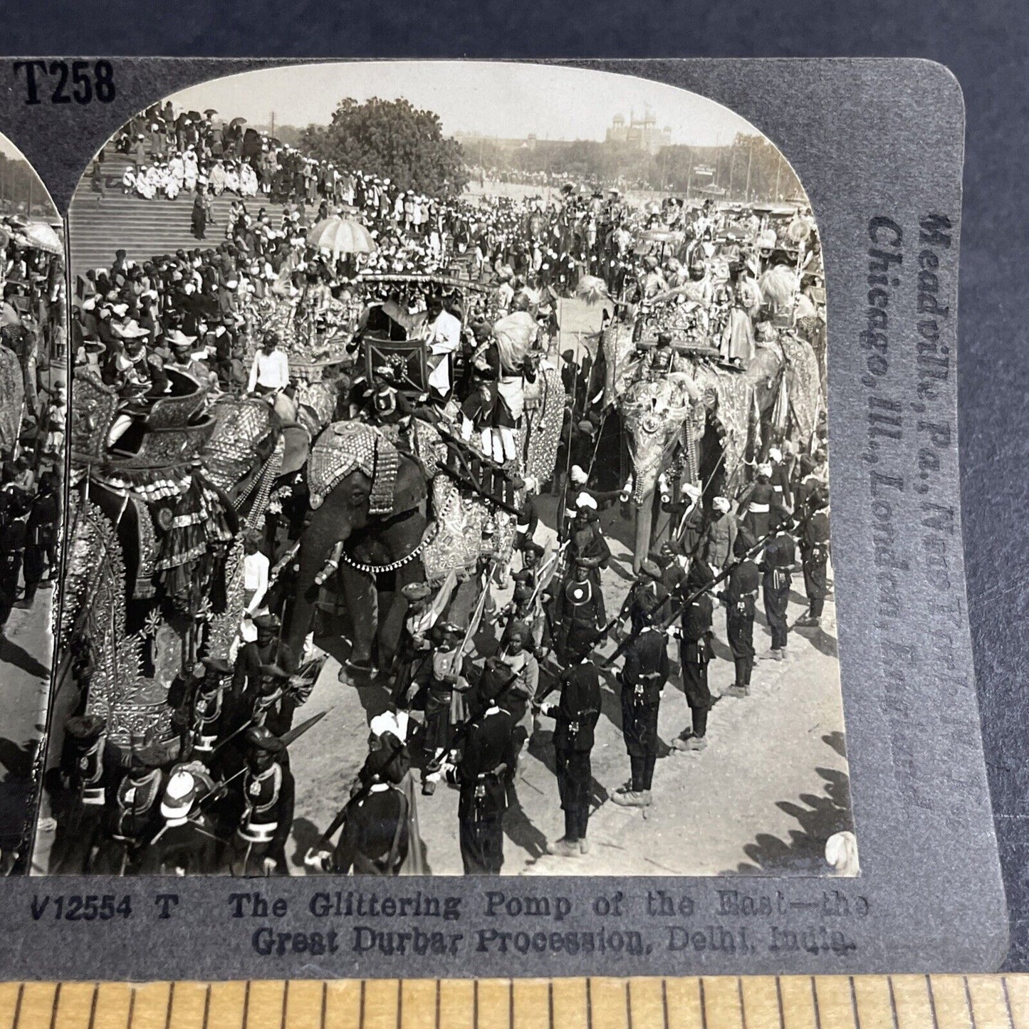 Antique 1910s Elephants Dressed Up Military Parade Stereoview Photo Card P4427