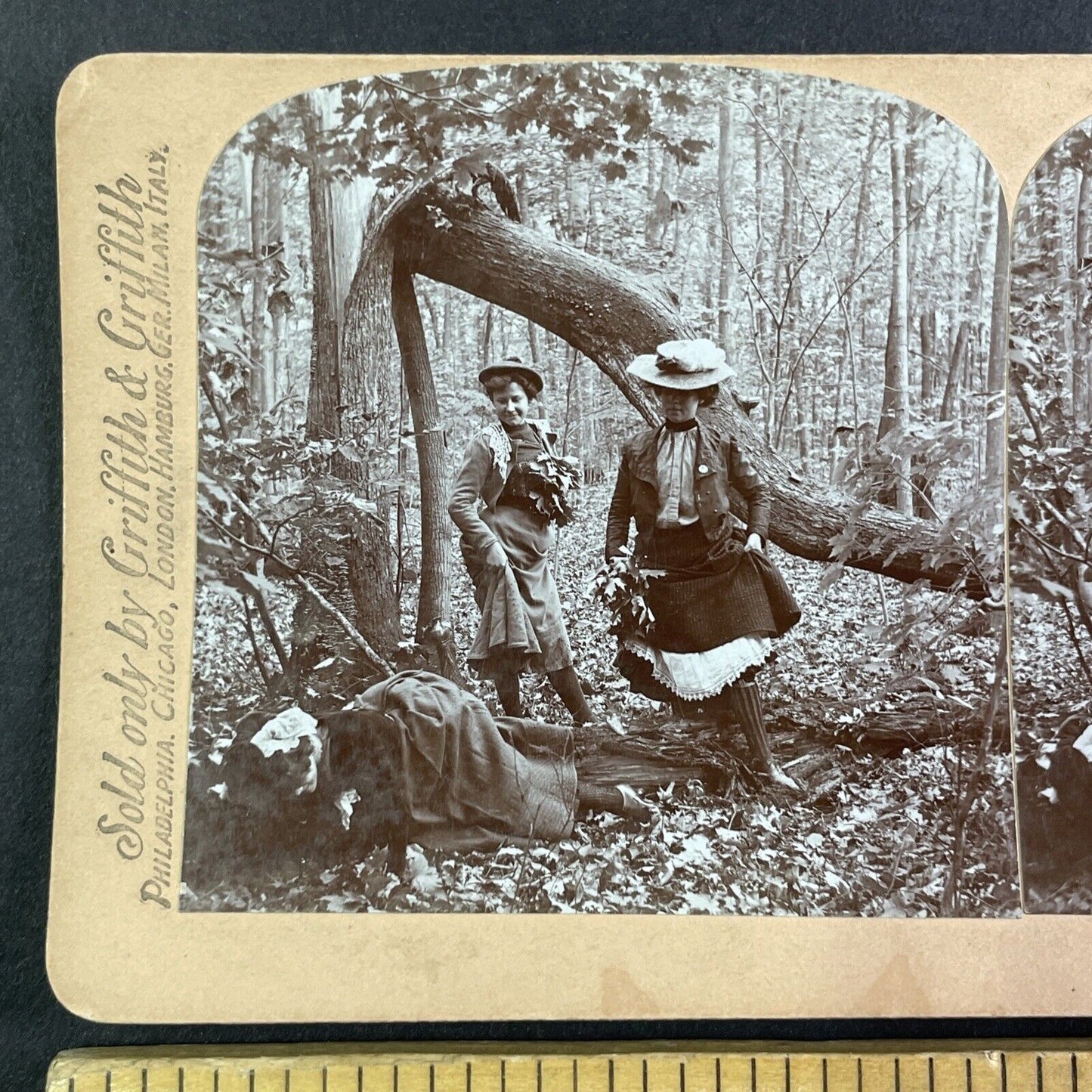 Women Having Fun on Goat Island NY Stereoview M.H. Zahner Antique c1903 Y2487