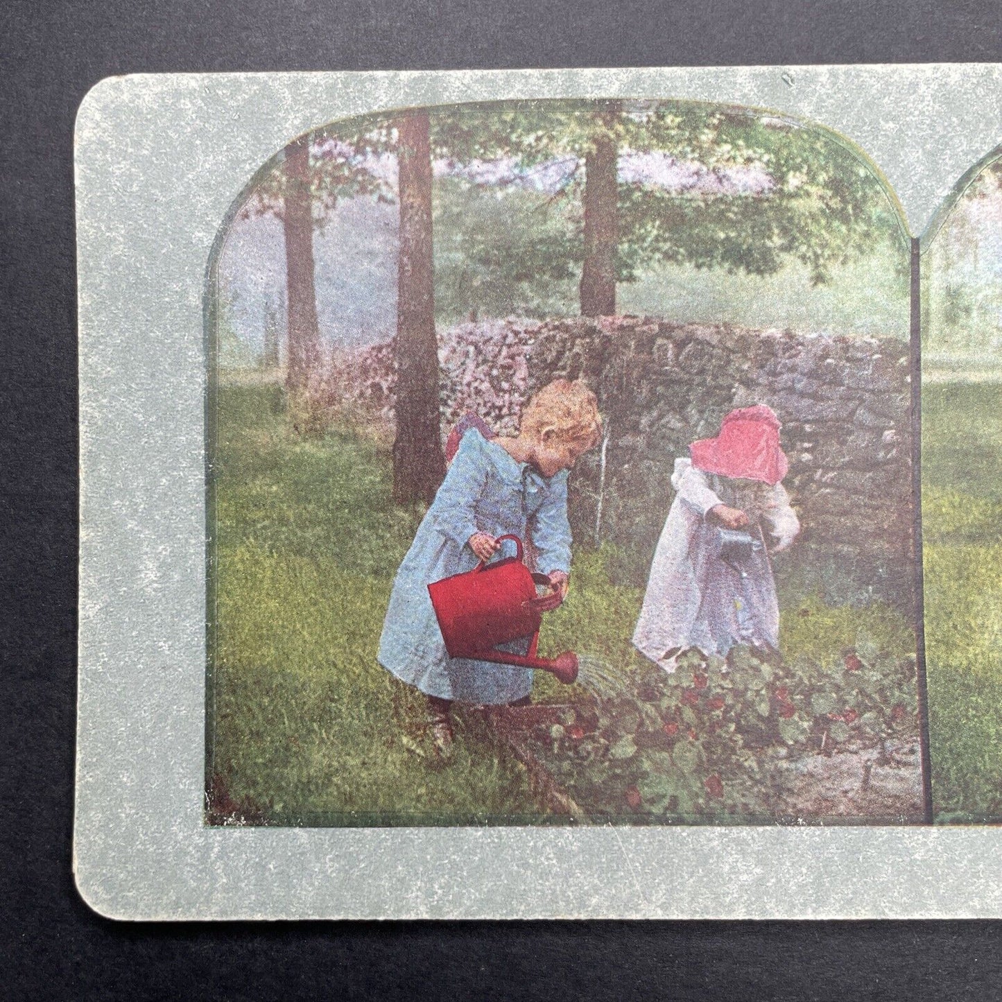 Antique 1898 Children Gardening Watering Flowers Stereoview Photo Card P580-013