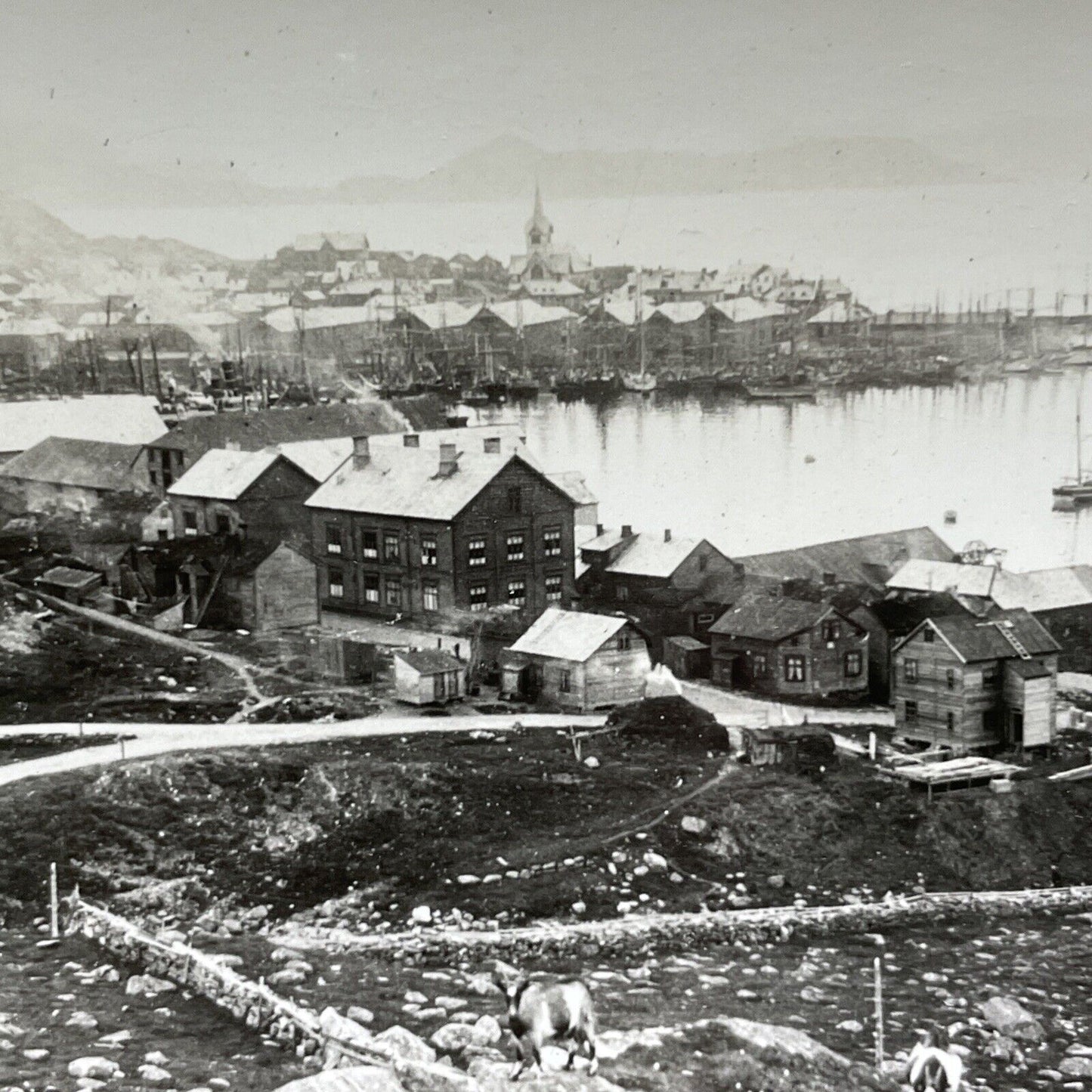 Antique 1920s Hammerfest Norway City And Port View Stereoview Photo Card V2971