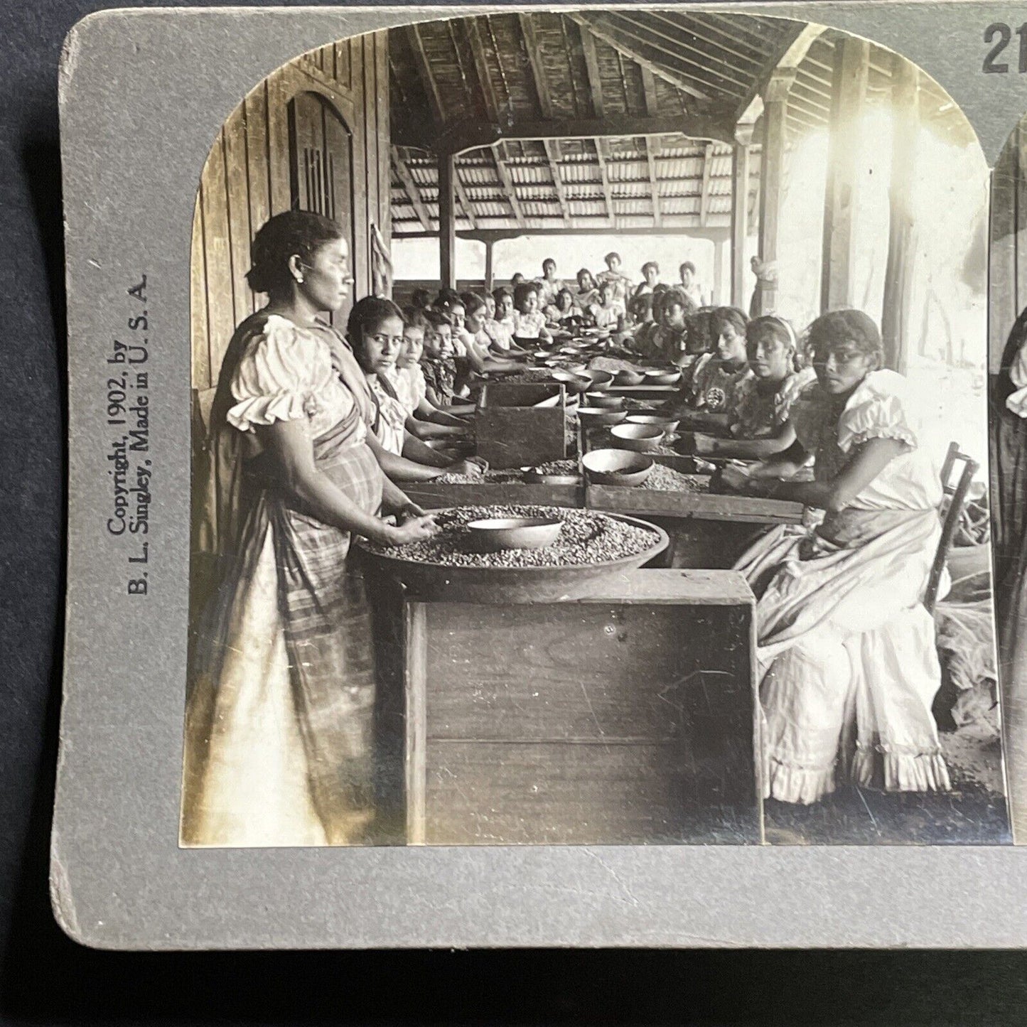 Antique 1918 Women Sorting Coffee Beans Peru Stereoview Photo Card P1469