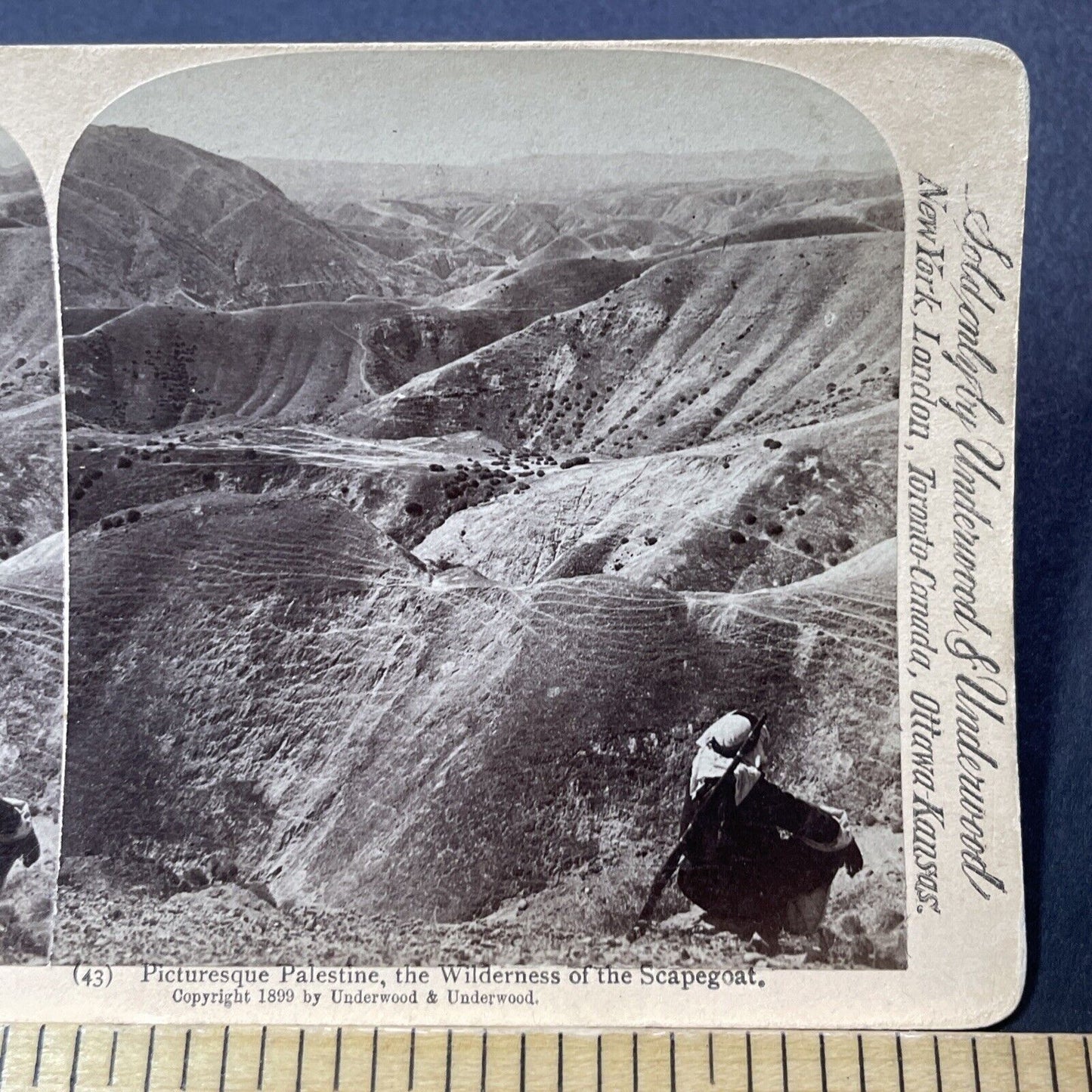 Antique 1899 Palestinian Marksman Warrior With Rifle Stereoview Photo Card V3252