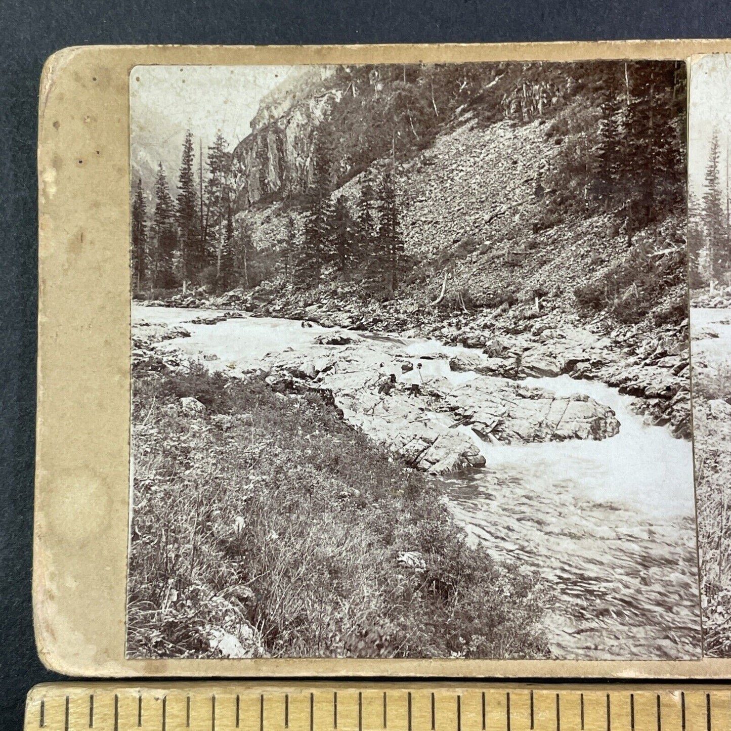 Kumir River Altai Siberia Russia Stereoview IR Tomashkevich Antique c1896 X2622