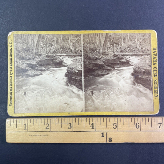 Northern Central Railroad Stereoview Forest Grotto Watkins Glen c1870s Y2175