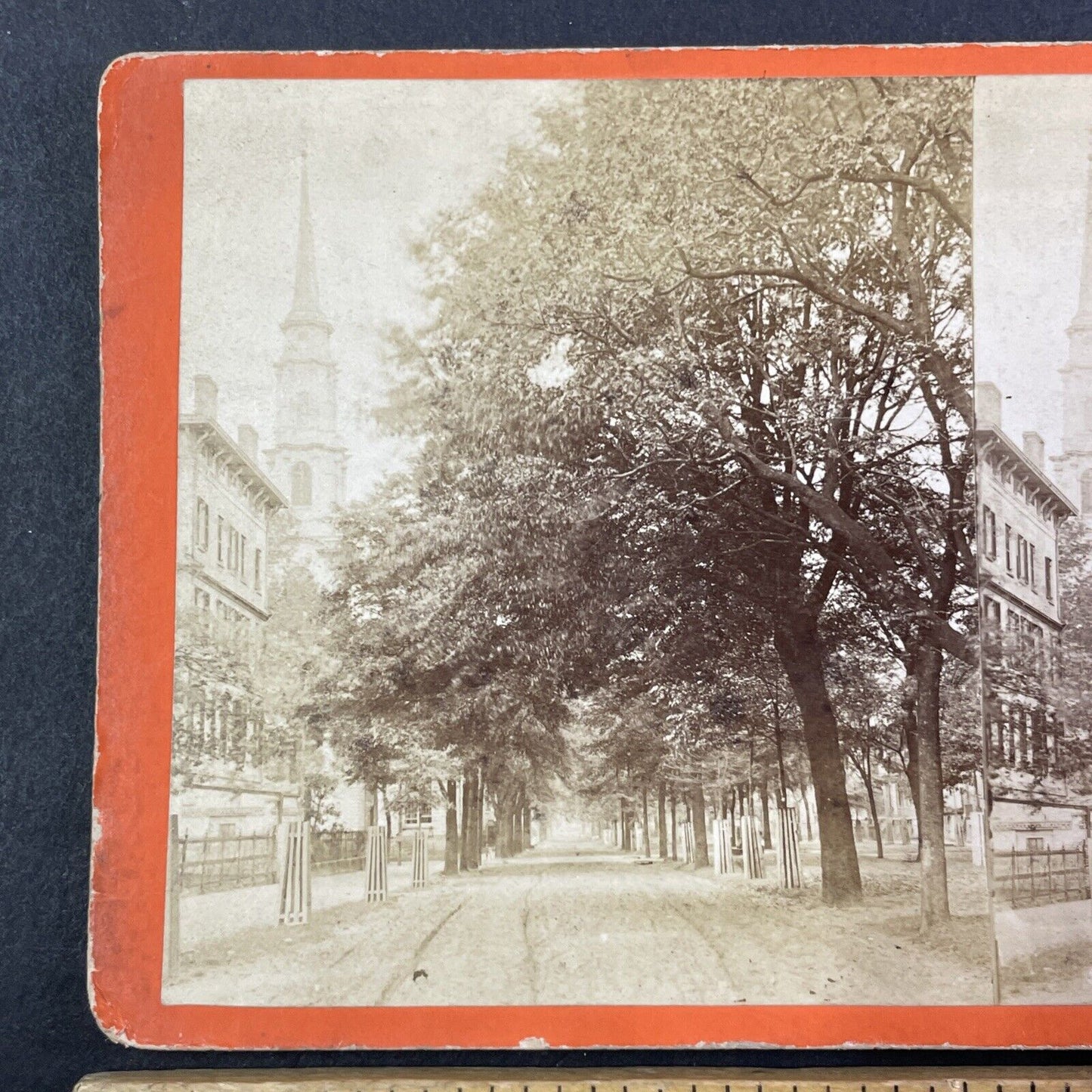 Oglethorpe Avenue Savannah Georgia Stereoview O. Havens Antique c1878 Y1760