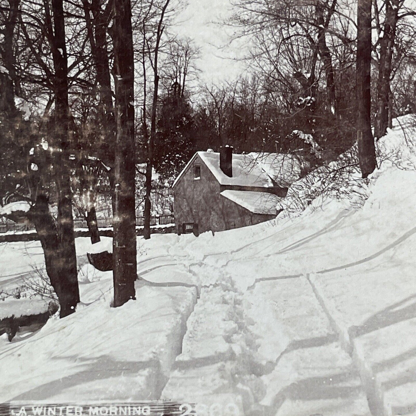 Winter Snowstorm Near Philadelphia Stereoview CH Graves Antique c1898 X2832