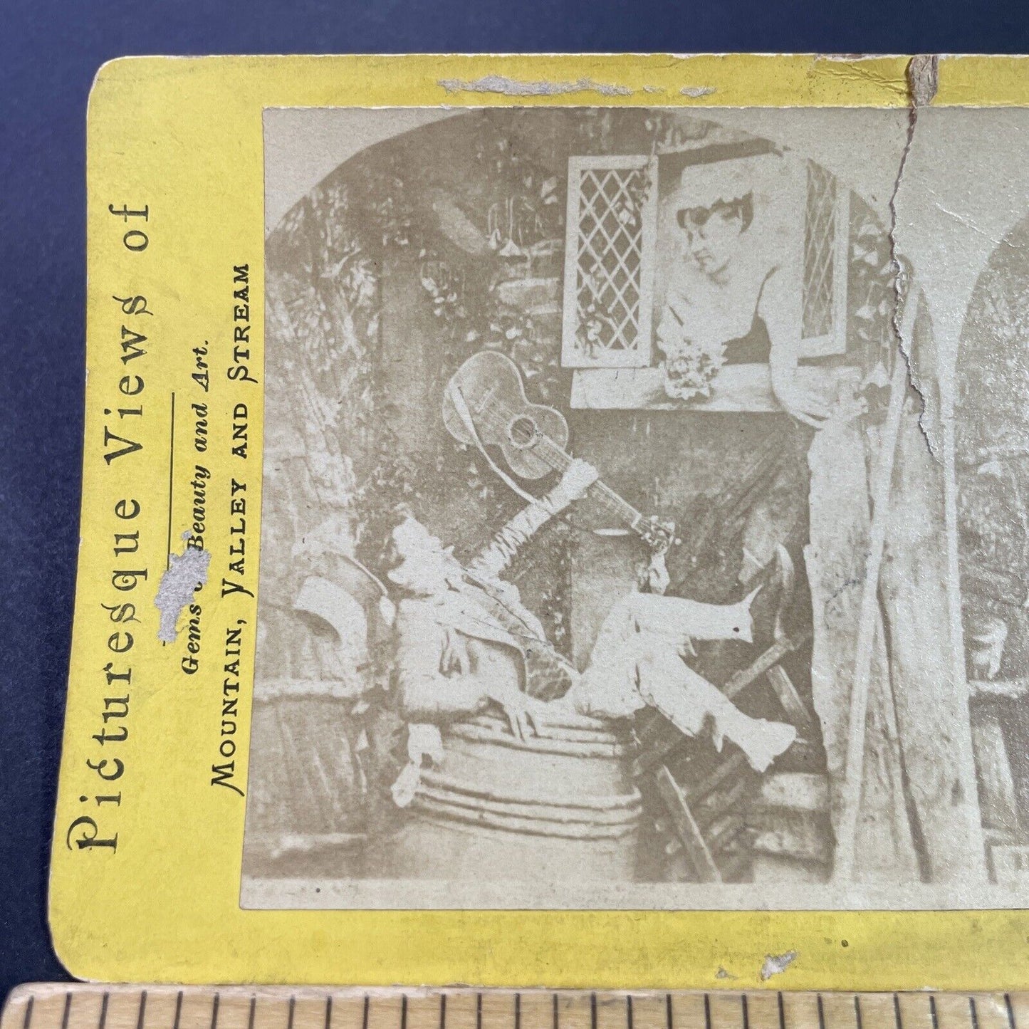 Antique 1870s Man Falls In Pail During Serenade Stereoview Photo Card P3443