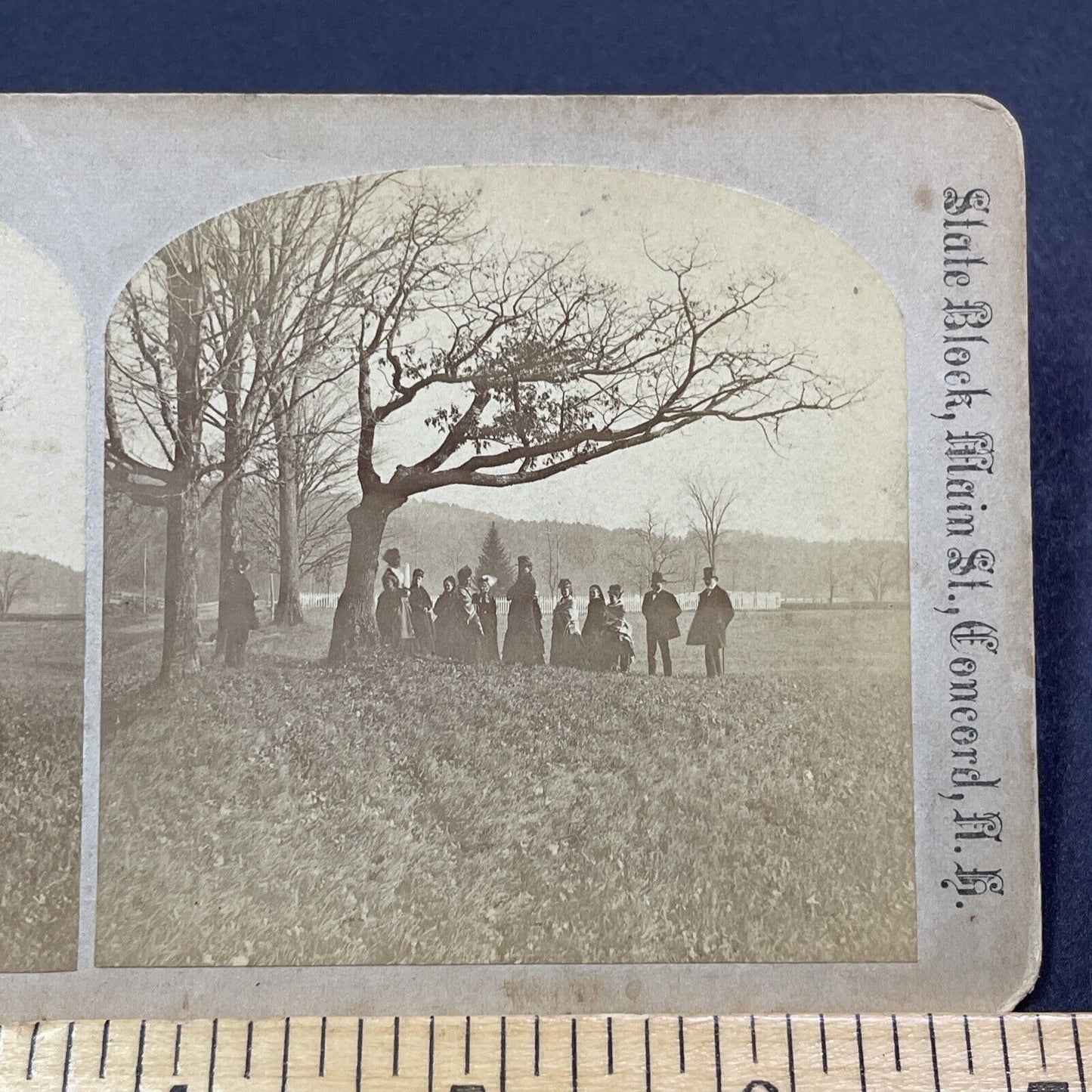 Antique 1850s Daniel Webster & Family Salisbury NH Stereoview Photo Card V1976