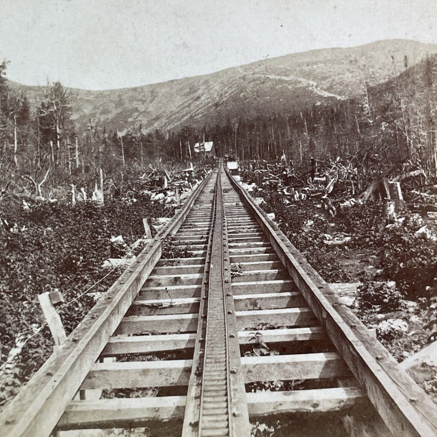 Mount Washington Cog Railway Stereoview New Hampshire Antique c1870s Y920