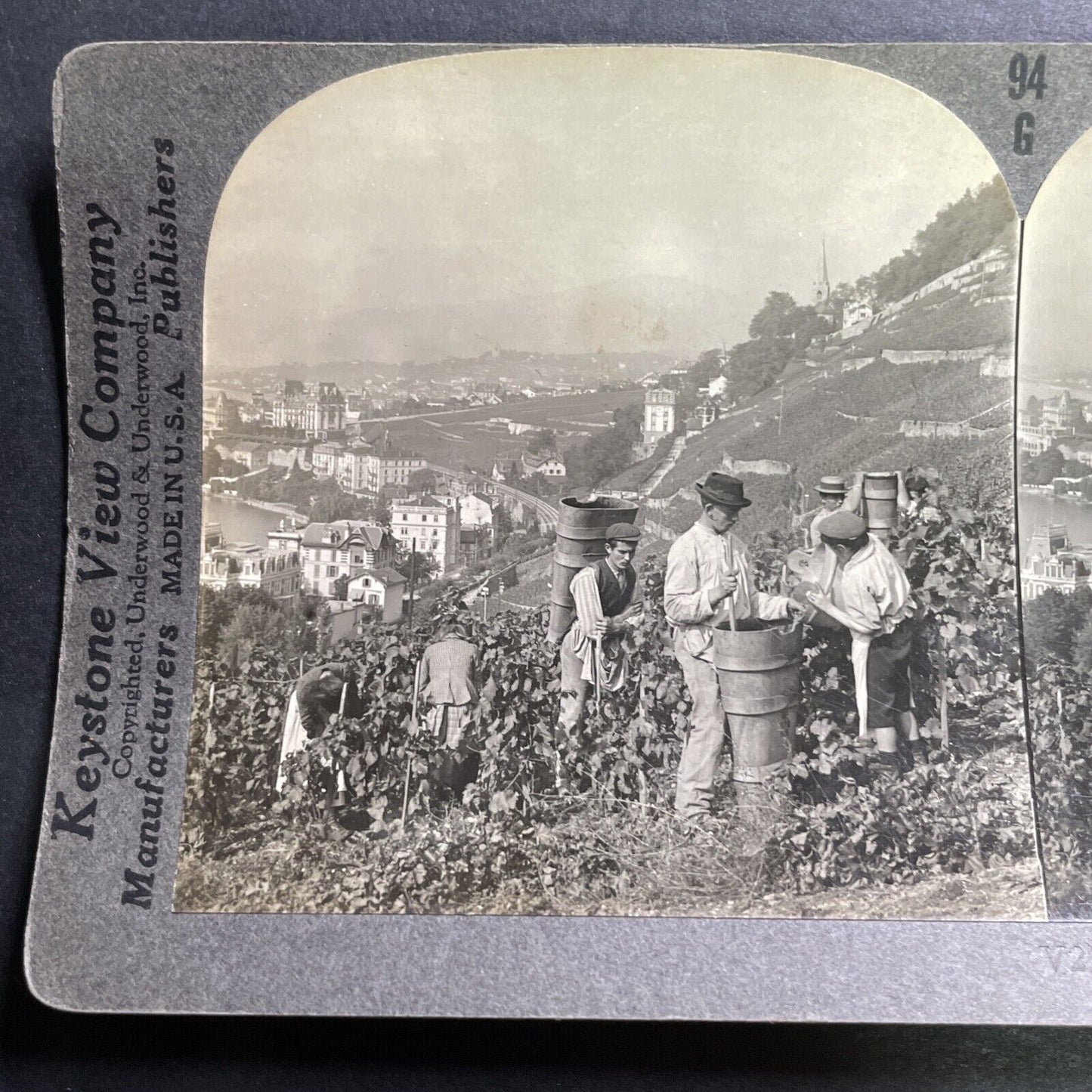 Antique 1918 Grape And Wine Vineyard Switzerland Stereoview Photo Card P1430