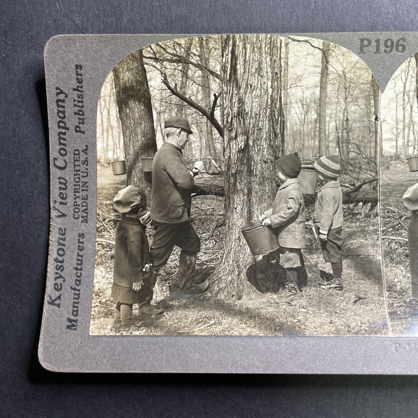 Antique 1920s Tapping Maple Tree Vermont Maple Syrup Stereoview Photo Card P1616