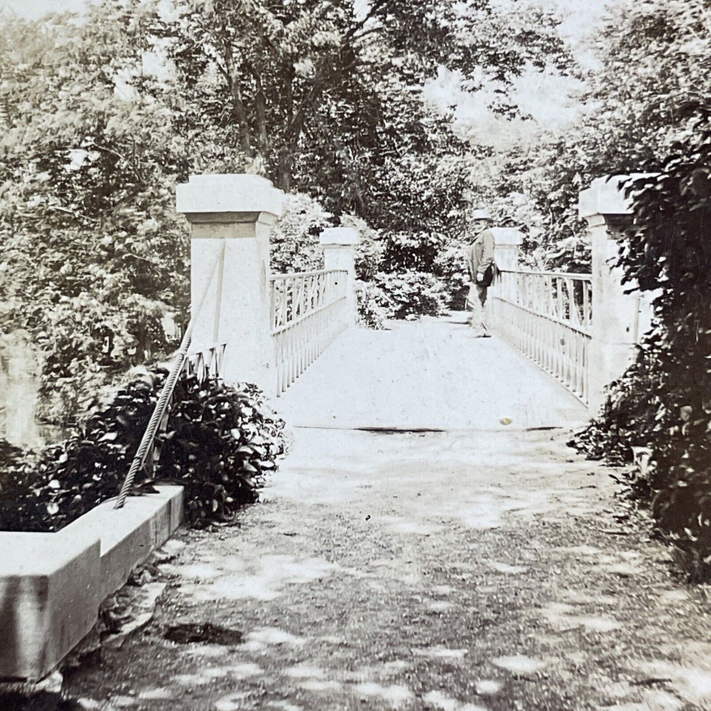 Garfield Park Bridge Stereoview Chicago Conservatory Photo Antique c1875 X1312