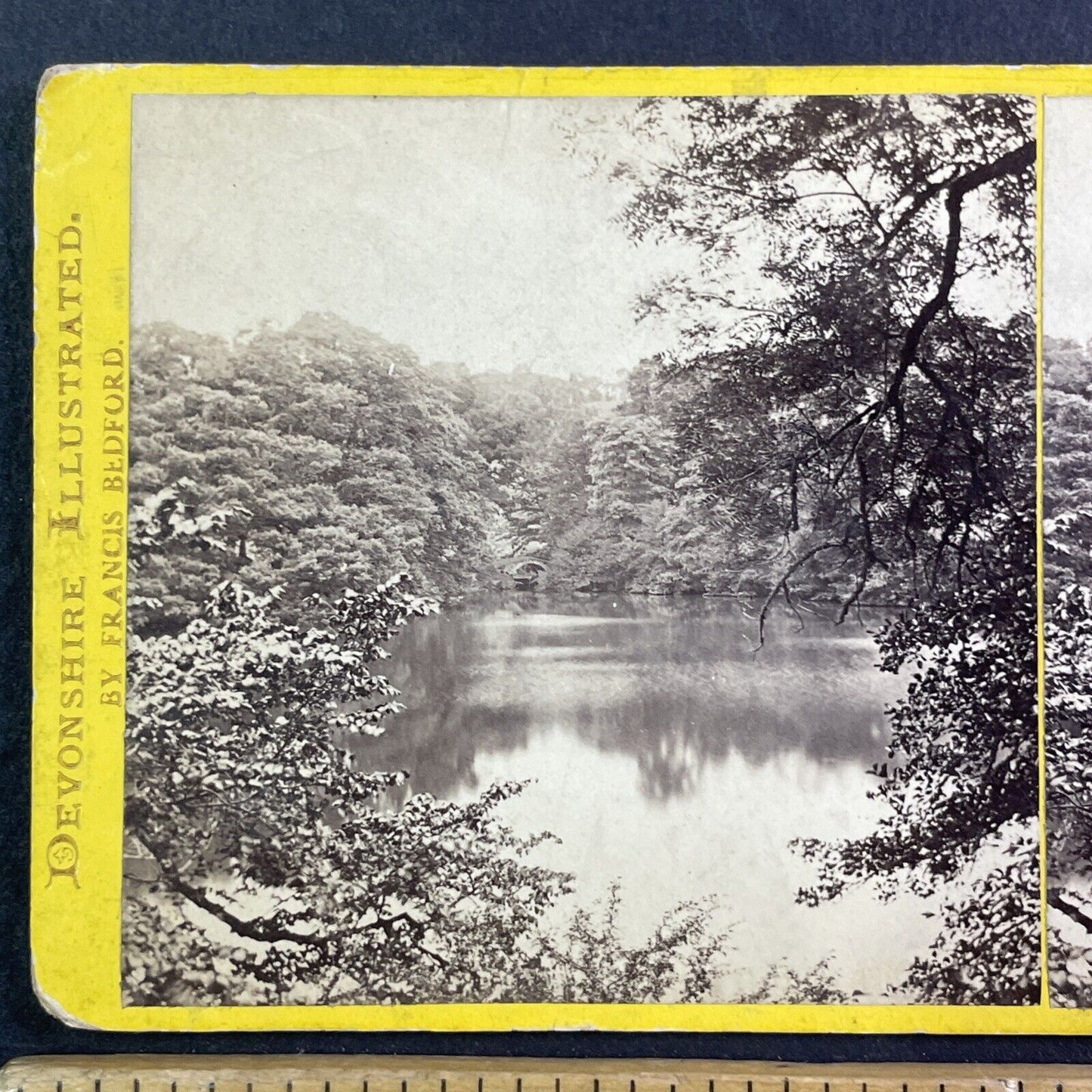 Ugbrooke Chudleigh Devon England UK Stereoview Lake View Antique c1870 X3717