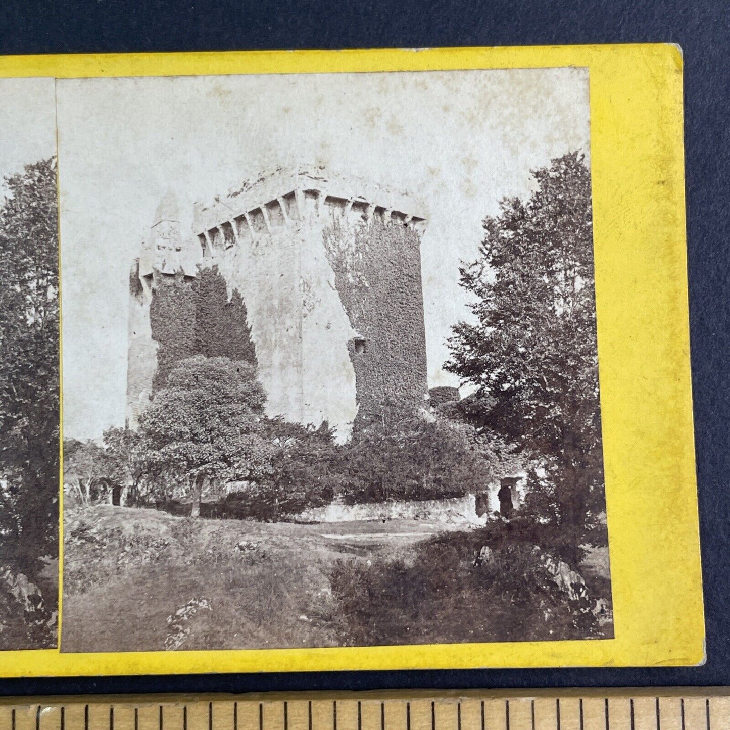 The Blarney Stone & Castle Stereoview Cork Ireland Antique c1870 X3595