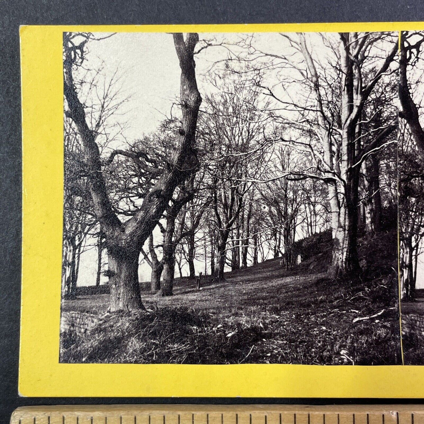 Horton Bay Michigan Stereoview Clearing Brush For A Summer Home c1868 Y535