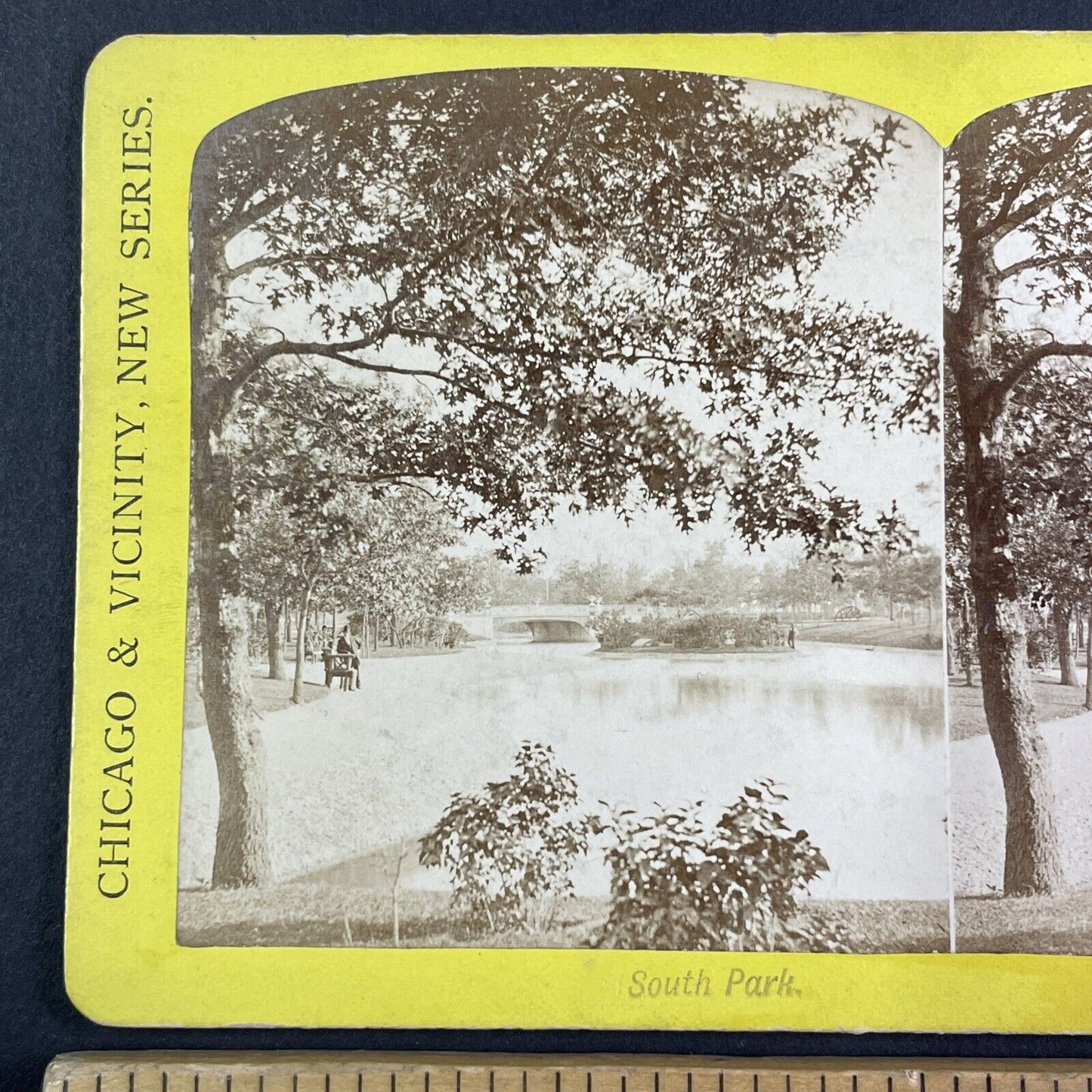 South Park Chicago Illinois Stereoview E. Lovejoy Antique c1870s Y2831