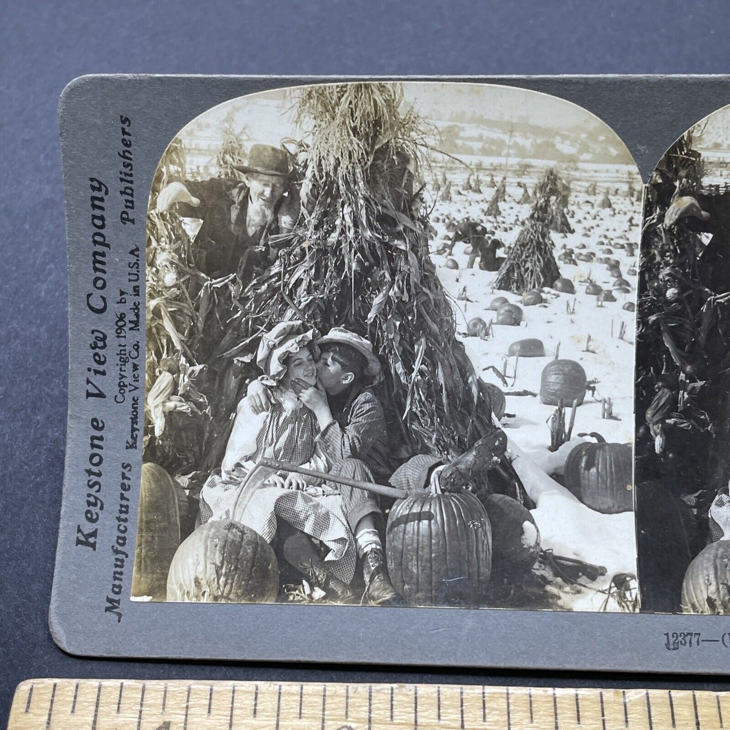 Antique 1906 Two Young Lovers Kiss In Pumpkin Patch Stereoview Photo Card P2603