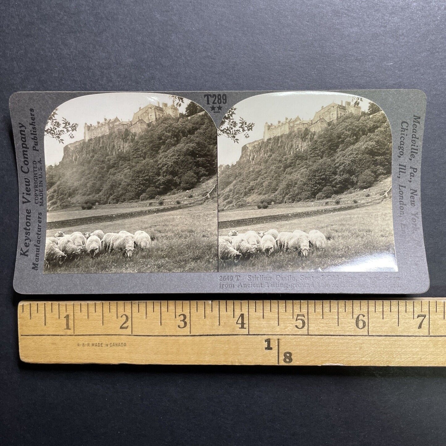 Antique 1918 Sheep Graze At Stirling Castle Scotland Stereoview Photo Card P1364