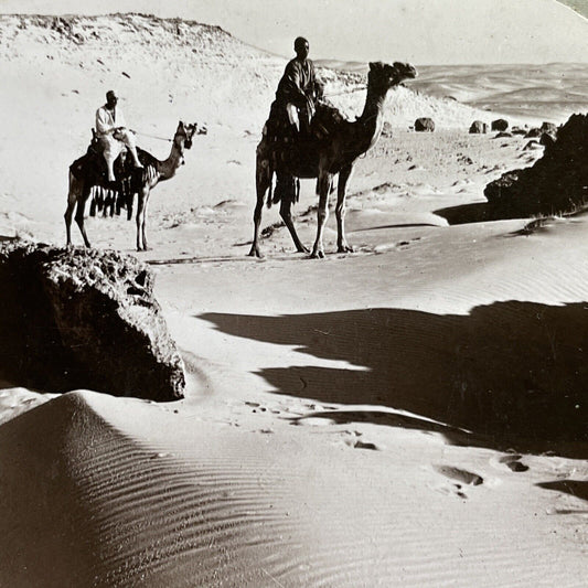 Antique 1890s Bedouin Travellers On Camel Libya Stereoview Photo Card P1300