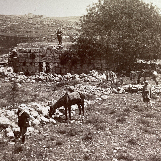 Antique 1900 Stone House In Shiloh Israel Palestine Stereoview Photo Card P1375