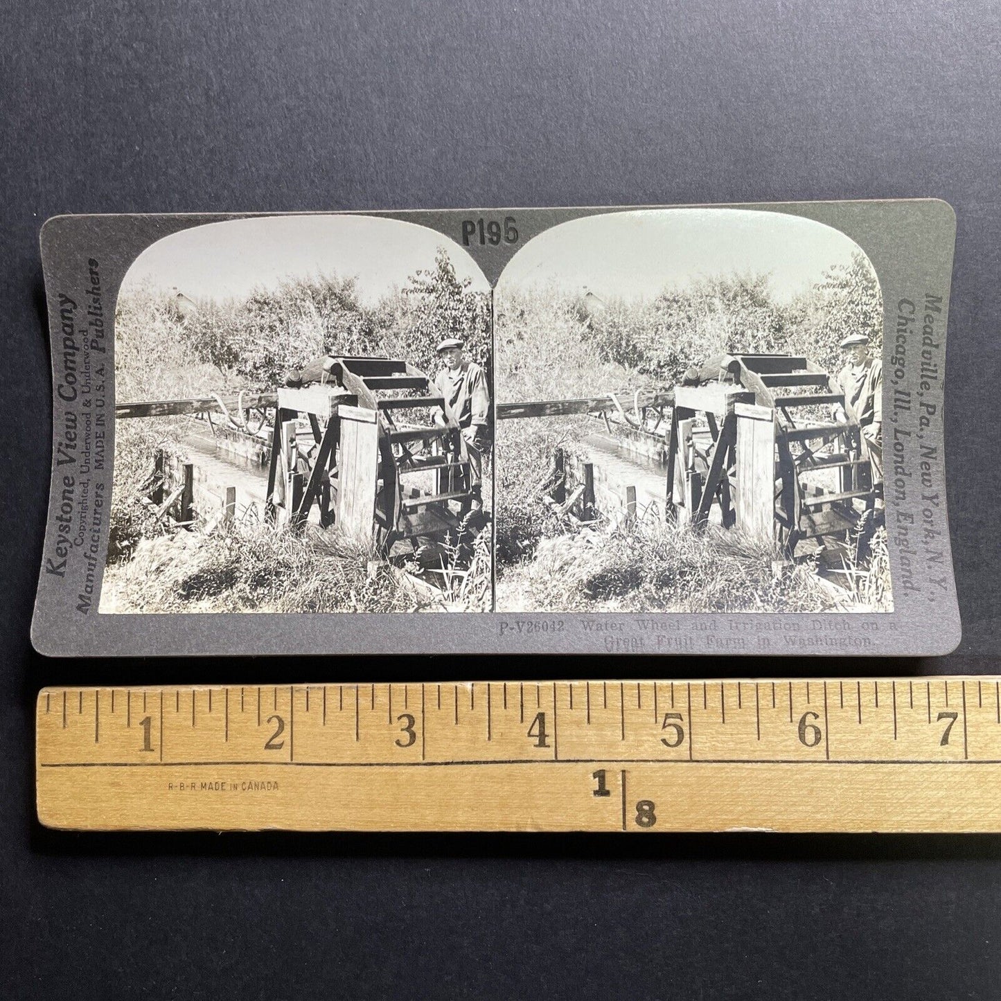 Antique 1909 Irrigation On Apple Farm Washington Stereoview Photo Card P1779