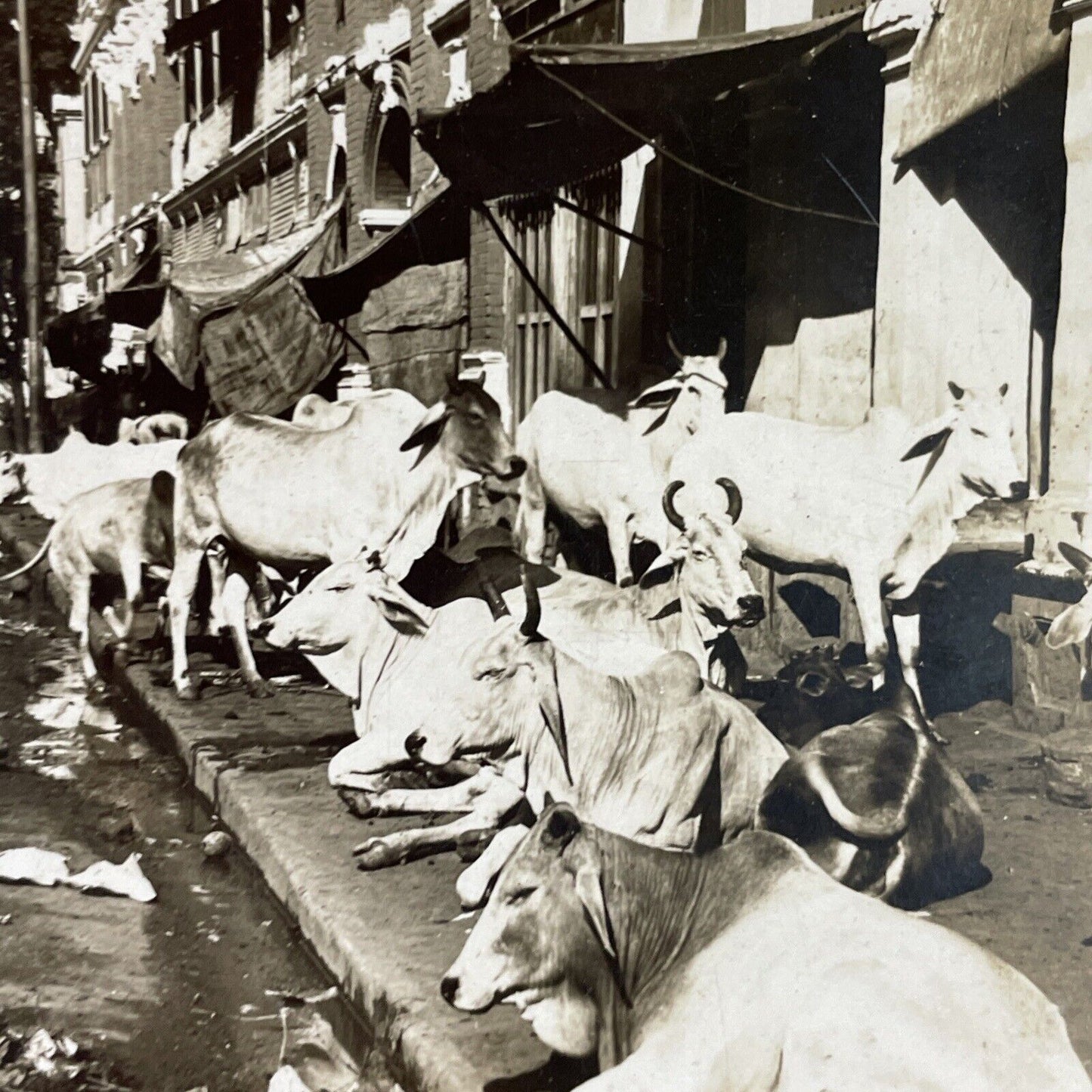 Antique 1910s Extreme Poverty In Calcutta India Stereoview Photo Card P3746