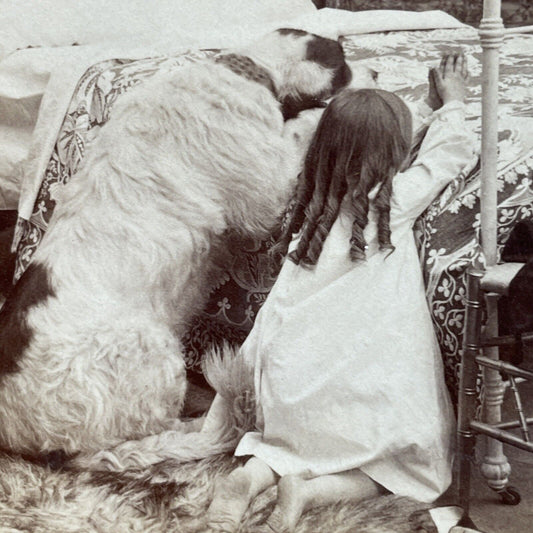 Antique 1905 Child Teaches Dog To Pray Stereoview Photo Card P3114