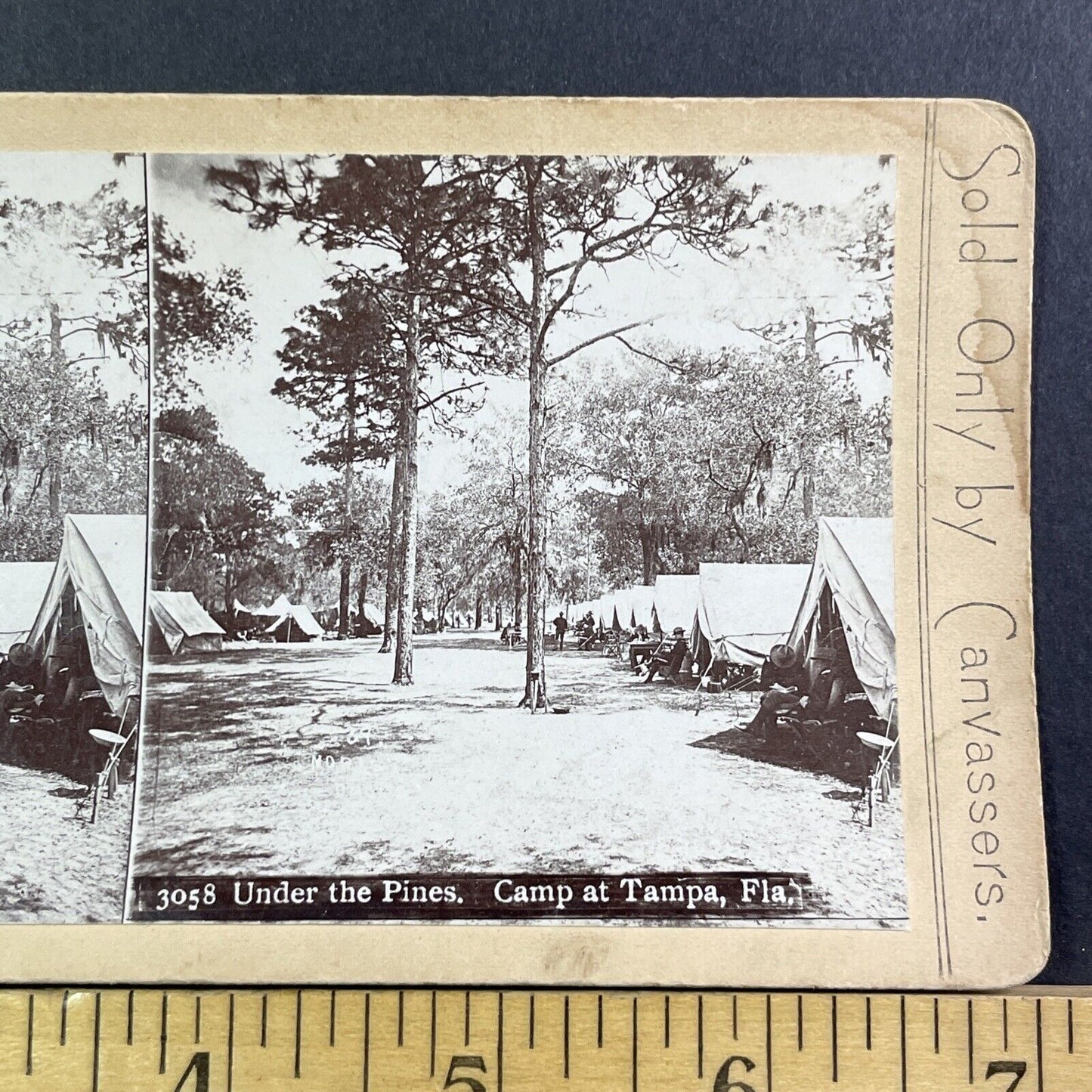 US Army Camp In Tampa Bay Florida Stereoview Webster Antique c1898 X3120