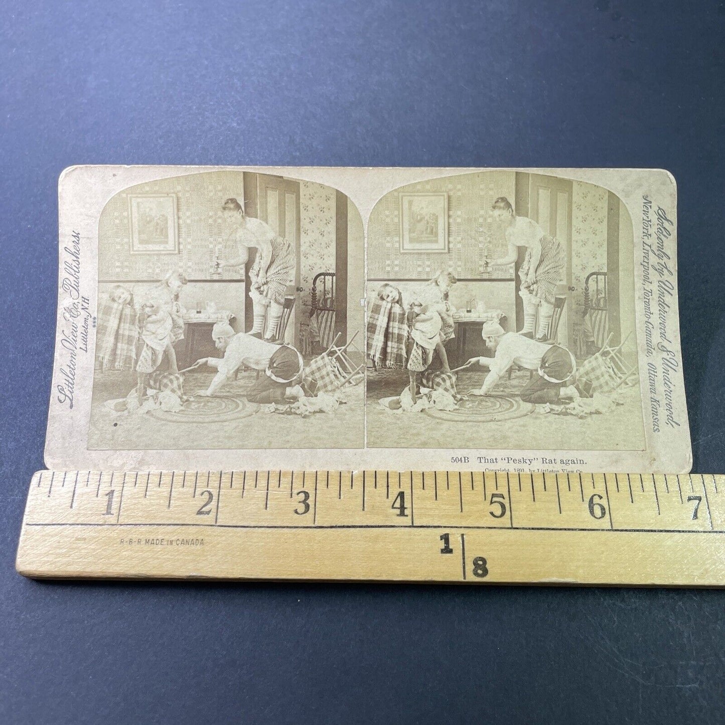 Antique 1891 Man Hunts For A Rat In House Stereoview Photo Card P3391