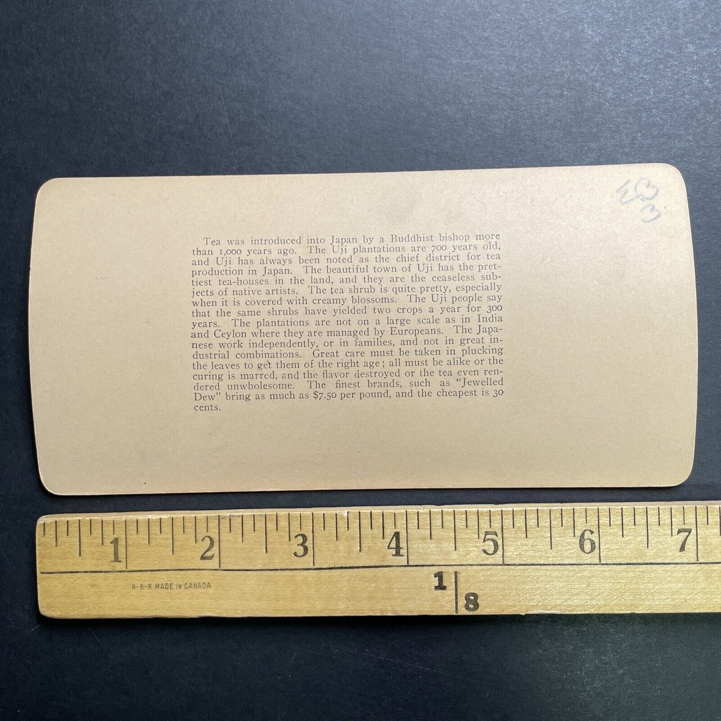 Antique 1901 Japanese Women Picking Tea Uji Japan Stereoview Photo Card P1316